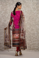 Shamaeel Ansari | Essentials 25 | AM-02
