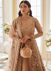 Elan | Wedding Festive 23 | Elan - Ariana