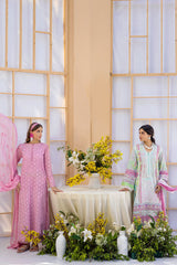 Ansab Jahangir | Chikankari | REEHA