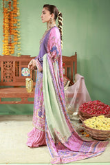 Ansab Jahangir | The Rani Edit | Sunehri