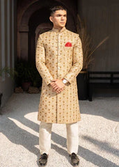 Beige Golden Embroidered Sherwani DD003 - Dress Designers