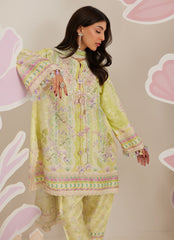 Farah Talib Aziz | Frou Frou Ramadan Edit |Riva