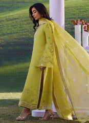 Farah Talib Aziz | Luna Eid 26 | Jayah Shirt And Dupatta