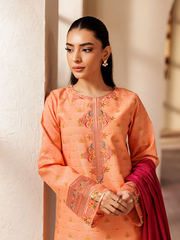 Rajbari | Amari Hybrid Jacquard Edition | Amari Jacquard - 04