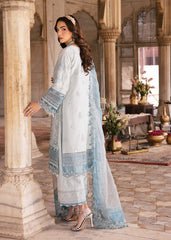 Zarizaa | Almari e Naaz | AMBER