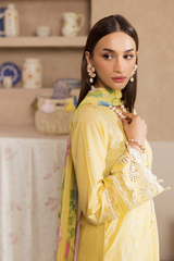 Rajbari | Nissa Chikankari Exclusive | Exclusive 03