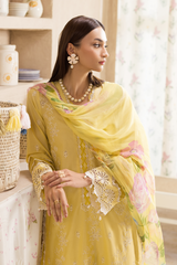 Rajbari | Nissa Chikankari Exclusive | Exclusive 03