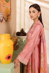 Rajbari | Nissa Chikankari Exclusive | Exclusive 06