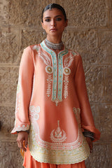 Wardha Saleem | Aari Collection | Ainah