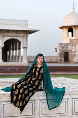 Vanya | Virsa Formals | ED-013