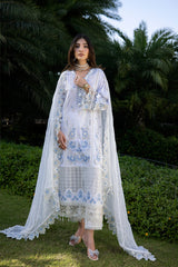 Raeesa Premium | Amani Lawn 26 | AM-003 LUSHÉ
