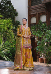 Wahaj M Khan | Nur Festive | Nur e Amber Pallazo Set