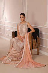 Wahaj M Khan | Banno Formals | PEACH HEAVY BANO2 SHIRT