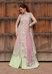 Crimson | Jhilmil Wedding Formals | TILSAM