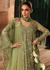 Crimson | Jhilmil Wedding Formals | MATWALI