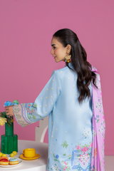 Rajbari | Amal Summer Prints | Unstitched 12