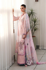 Qalamkar | Chikankari Eid Edit 26 | CM-06 NOURA