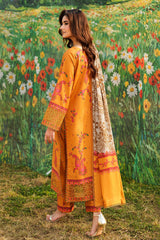 Charizma | Combination Lawn | CC6-14