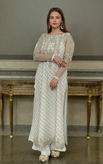 Threads and Motifs | Formal Dresses 25 | Net Embroidered Shirt With Trouser