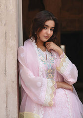 Zarqash | Noor e Nawab Eid Edit 26 | GULRUKH