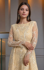 Threads and Motifs | Formal Dresses 25 | Net Embroidered Maxi