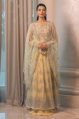 Mushq | Luxury Collection | MSQ22-07 (Aurora)