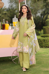 Rangrasiya | Lifestyle Summer Edit 25 | Elysia