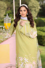 Rangrasiya | Lifestyle Summer Edit 25 | Elysia