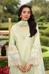 Rangrasiya | Lifestyle Summer Edit 25 | Reeha