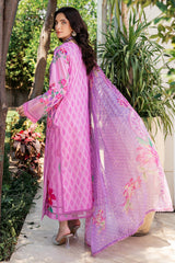Charizma | C print Collection 24 | CP4-44
