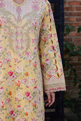 Aabyaan | Shezlin Chikankari Eid Edit 26 | ZEHRAAYE (AV-09)