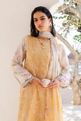 Aabyaan | Shezlin Chikankari 26 | NURAYA (AZ-10)