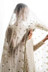Baroque | Formal EMBROIDERED CHIFFON | SF-687