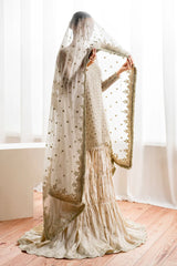 Baroque | Formal EMBROIDERED CHIFFON | SF-687