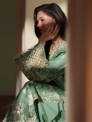Bin Ilyas | Mashriq Luxury Lawn 26 | D-117-A