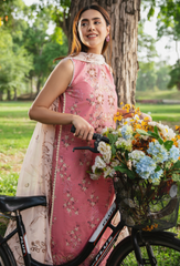 Hum Dum | Summer Breeze 25 | D04