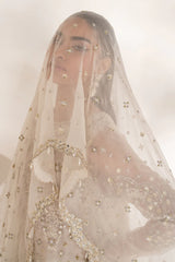 Baroque | Formal EMBROIDERED CHIFFON | SF-4140