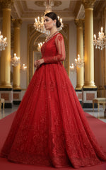 Threads and Motifs | Formal Dresses 25 | Net Embroidered Maxi