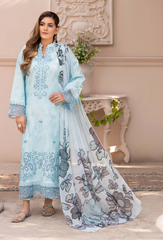 Humdum | Summer Breeze 26 | D12