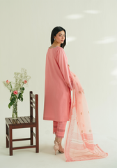 Zarqash | Whispers of Summer |BLUSHWIND