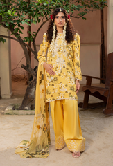 Humdum | Zaiba 25 | D03