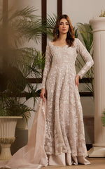 Threads and Motifs | Formal Dresses 25 | Net Embroidered Dress