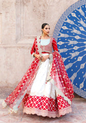 Zarqash | Arzoo Festive Collection | Gulrukh