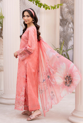 Humdum | Summer Breeze 26 | D08