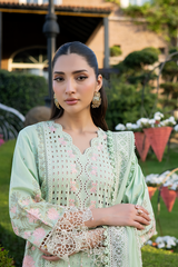 Raeesa Premium | Amani Lawn 26 | AM-005 PETALYA