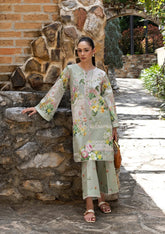 Elaf Premium | Ready to Wear 26 | EPV-9A IN THE CLEAR
