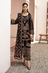 Ramsha | Kashish Collection | K-205