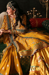 Emaan Adeel | Devdas Formals | ROSHAN JAHAN