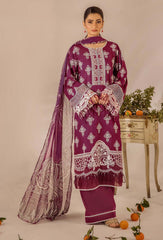 Adans Libas | Chikankari 25 | 4779