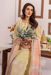 Adans Libas | Stella Chikankari 25 | 1023